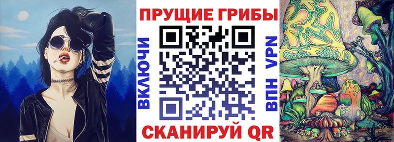Купить где  Электросталь  Галлюциногенные грибы Cubensis 
